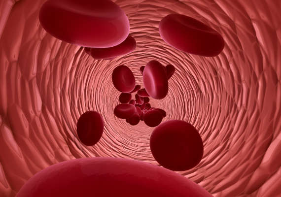 Red blood cells flowing through blood vessel