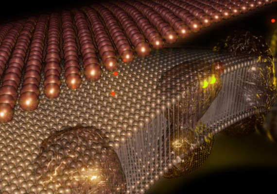 Phospholipid layer of the electron transport chain